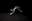 PKP_Milieu